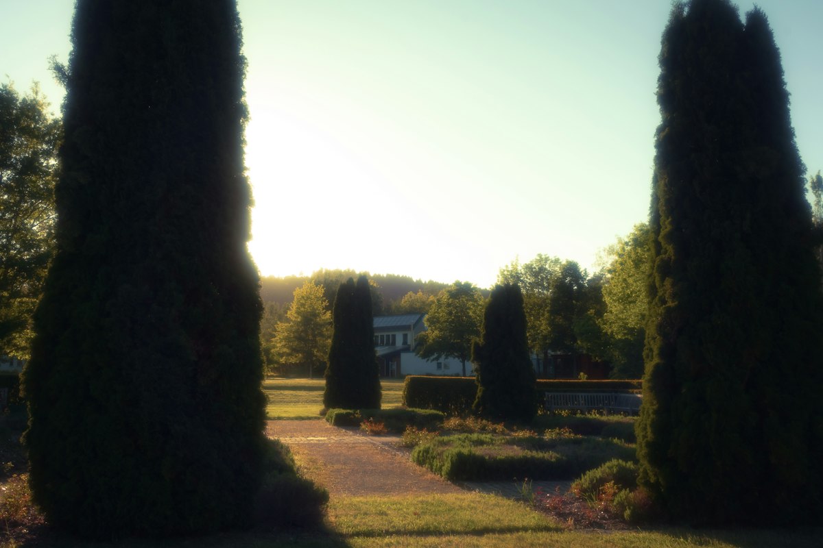 Finding Your Masterpiece: The Ultimate Guide to Big Homes for Sale